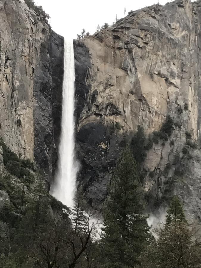 Yosemite Condominium Йосеміті-Вест Екстер'єр фото
